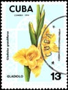 CUBA - CIRCA 1974: Postage stamp printed in Cuba shows Gladiolus grandiflorus, series flowers