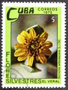 CUBA - CIRCA 1973: A postage stamp printed in Cuba shows a blooming Borrichia arborescens.