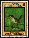 CUBA - CIRCA 1983: postal stamp 5 Cuban centavos printed by Republic of Cuba, shows bird Zapata Wren (Ferminia cerverai)