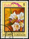 CUBA - CIRCA 1983: stamp 5 Cuban centavo printed by Cuba, shows flowering plant Kalmiella ericoides Royalty Free Stock Photo