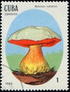 CUBA - CIRCA 1988: stamp 1 Cuban centavo printed by Republic of Cuba, shows mushroom Boletus satanas