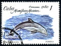 CUBA - CIRCA 1980: stamp 1 Cuban centavo printed by Cuba, shows Common Bottlenose Dolphin Tursiops truncatus, circa 1980