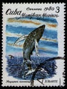 CUBA - CIRCA 1980: stamp 3 Cuban centavo printed by Cuba, shows Humpback Whale Megaptera novaeangliae, sea mammals serie, circa