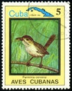 CUBA - CIRCA 1983: stamp 5 Cuban centavos printed by Republic of Cuba, shows bird Zapata Wren Ferminia cerverai, bird fauna,