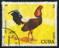 Postage stamp Royalty Free Stock Photo