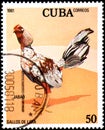 CUBA - CIRCA 1981: A stamp printed by Cuba shows the Jabao