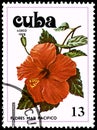 CUBA - CIRCA 1978: A stamp, printed in Cuba, shows a Hibiscus flower