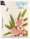 Stamp printed by Cuba shows the Oleander flower Royalty Free Stock Photo