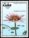 CUBA - CIRCA 1979: A stamp, printed in Cuba, shows a Nymphaea caerulea, series water lilies