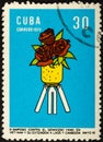 CUBA - CIRCA 1972: Stamp printed in Cuba devoted to Symposium Against Yankee Genocide in Vietnam and its extension to