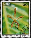 CUBA - CIRCA 1973: A stamp printed in the CUBA, shows Arachnis Catherina.