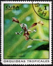 CUBA - CIRCA 1973: A stamp printed in the CUBA, shows Dendrobium Hibrido.