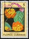CUBA - CIRCA 1983: stamp 5 Cuban centavo printed by Cuba, shows flowering plant Lantana camara (common lantana), flora