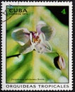CUBA - CIRCA 1973: A stamp printed in the CUBA, shows Phalaenopsis schilleriana Reichb.