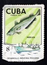 CUBA - CIRCA 1975: a stamp show the fish Hake, series Fishing Industry, circa 1975