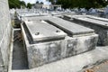 Cuba, Dogs in the shade of graves in the cemetery in the Christopher in Havana