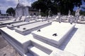 CUBA HAVANA CEMETERY COLON