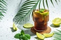 Cuba Libre Drink with fresh lime, rum, cola, mint in the glass. place for text Royalty Free Stock Photo