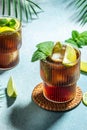 Cuba Libre Drink with fresh lime, rum, cola, mint in the glass. place for text Royalty Free Stock Photo