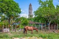 Cuba, Manaca Iznaga estate tower in the Valley de los Ingenios,