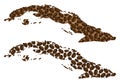 Cuba - map of coffee bean