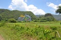 Cuba Mural View