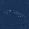 Cuba network, constellation style country map.