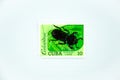 1988 Cuba, postage stamp odontotenius beetle