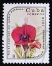 Cuba postage stamp shows Dendrobium phalaenopsis Flower, series `Exotic Flowers from botanical garden`, circa 1986