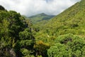 Cuba, Tourist trail into Pico Turquino tops. Royalty Free Stock Photo