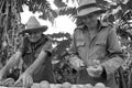 Cuba: Two older cuban farmers are selling fruits to the tourists