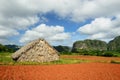 Cuba, Valle de Vinales Royalty Free Stock Photo