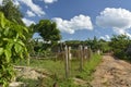 CUBA Valle de ViÃÂ±ales in PiÃÂ±ar del Rio