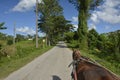 CUBA Valle de ViÃÂ±ales in PiÃÂ±ar del Rio