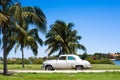 Cuba white classic cars under palms
