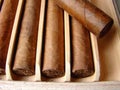 Cuban brown cigars Royalty Free Stock Photo