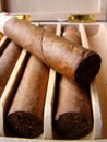 Cuban brown cigars Royalty Free Stock Photo