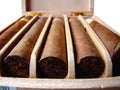 Cuban brown cigars Royalty Free Stock Photo