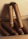 Cuban cigars in box