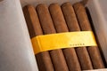 Cuban cigars in box Royalty Free Stock Photo