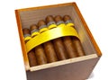 The Cuban cigars, hand made Royalty Free Stock Photo