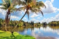 Cuban country landscape