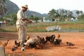Cuban farmer feeding his poultry