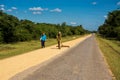 Cuban farmer raises rice to dry it on the road