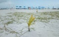 White sand beaches in Cuba