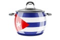 Cuban national cuisine concept. Cuban flag painted on the stainless steel stock pot. 3D rendering