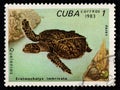 Cuban postage stamp featuring sea turtle. Ancient reptile