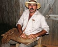 Cuban tobacco grower Royalty Free Stock Photo