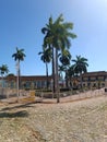 Cuban Trinidad square with palm trees