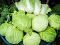 Cubbage in fresh market. Royalty Free Stock Photo